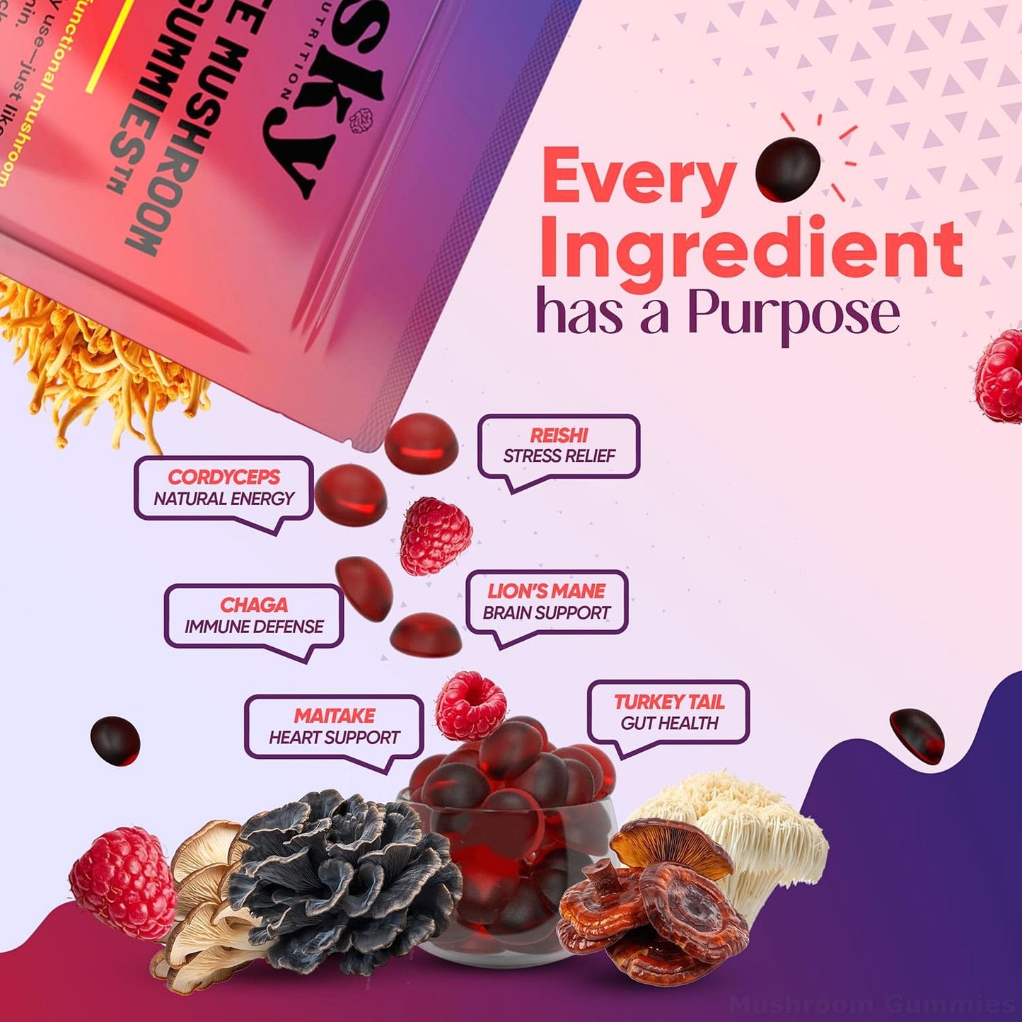 Sky Mushroom Gummies - 10-in-1 Advanced Complex w/Lions Mane, Reishi, Cordyceps,  Turkey Tail - Focus & Brain Support - Raspberry Flavored 60 Vegan Lions Mane  Mushroom Gummies for Adults